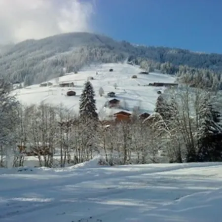 Andreas Im Moser Lejlighed Alpbach