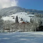 Andreas Im Moser Apartment Alpbach