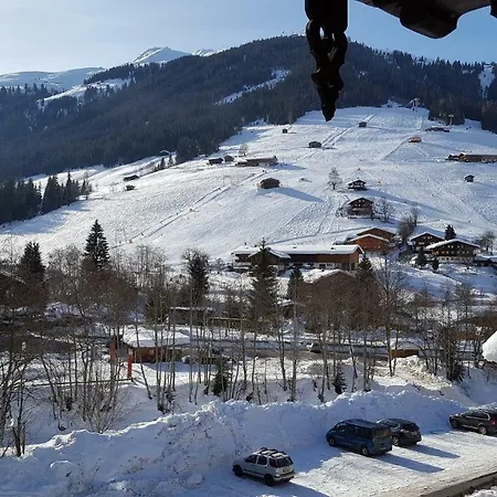 Apartment Andreas Im Moser Alpbach