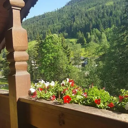 Apartment Andreas Im Moser *